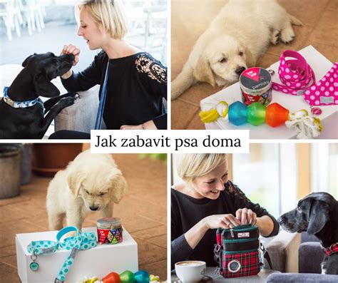 jak zabavit krlka|Petland 